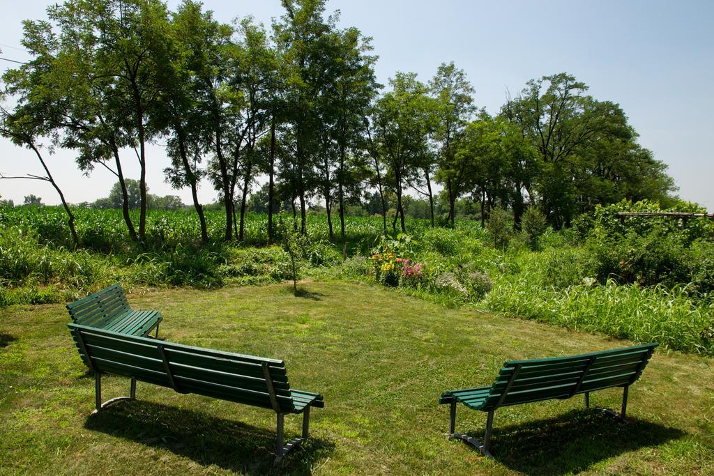 Cascina Delle Mele Bed & Breakfast Vittuone Luaran gambar