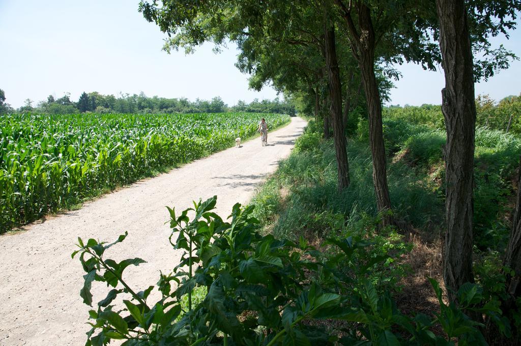 Cascina Delle Mele Bed & Breakfast Vittuone Luaran gambar
